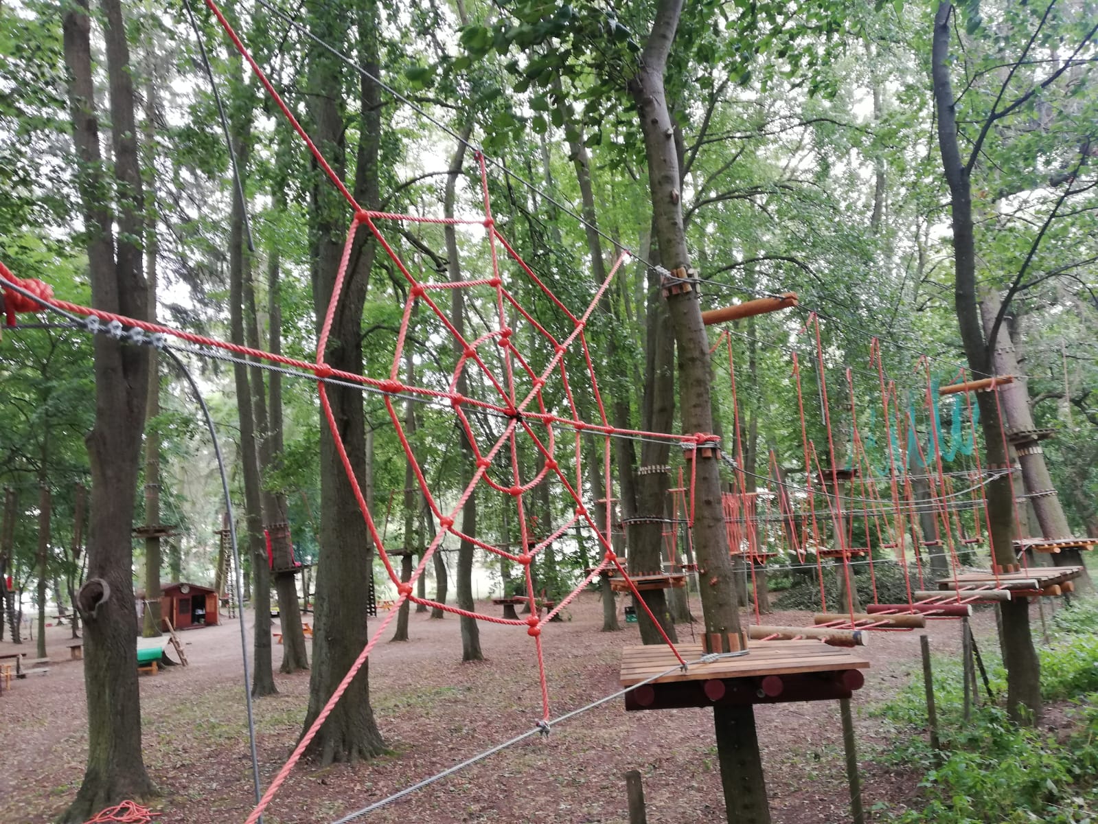 Park Linowy - Tarzania - Szczecin