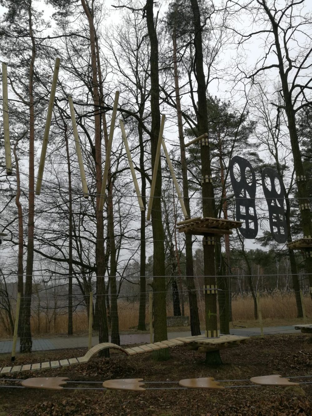 Zdjęcia z budowy Parku Linowego w Turawie - Opole